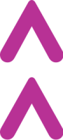 seta cima rosa